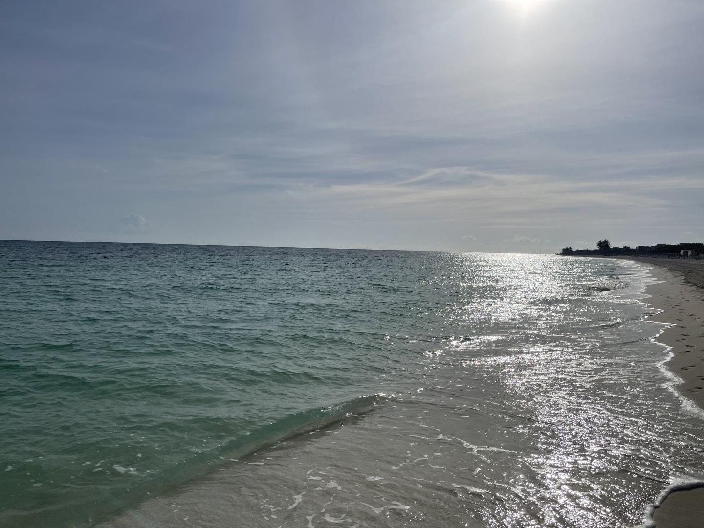 Дорожает не только еда: отдых на море в 2024 году может позволить себе не каждый гражданин