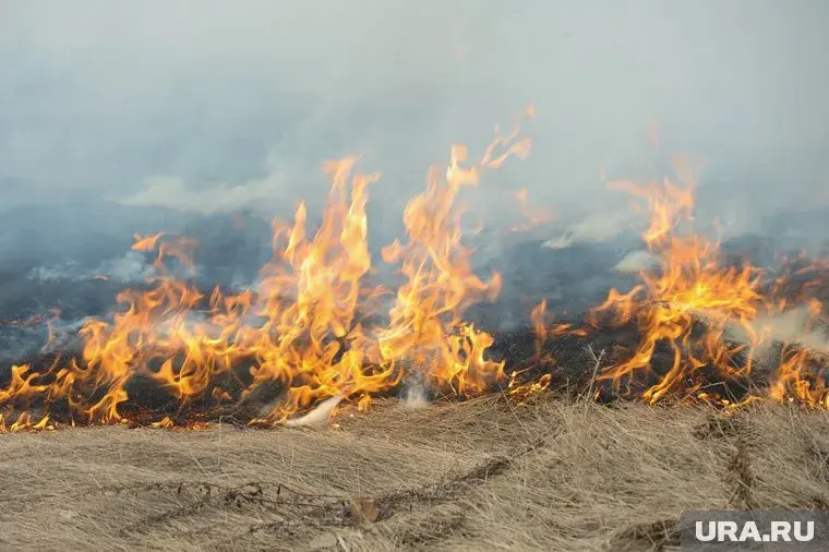 В Перми судят сотрудника МЧС за оформление вымышленных костров на дачах
