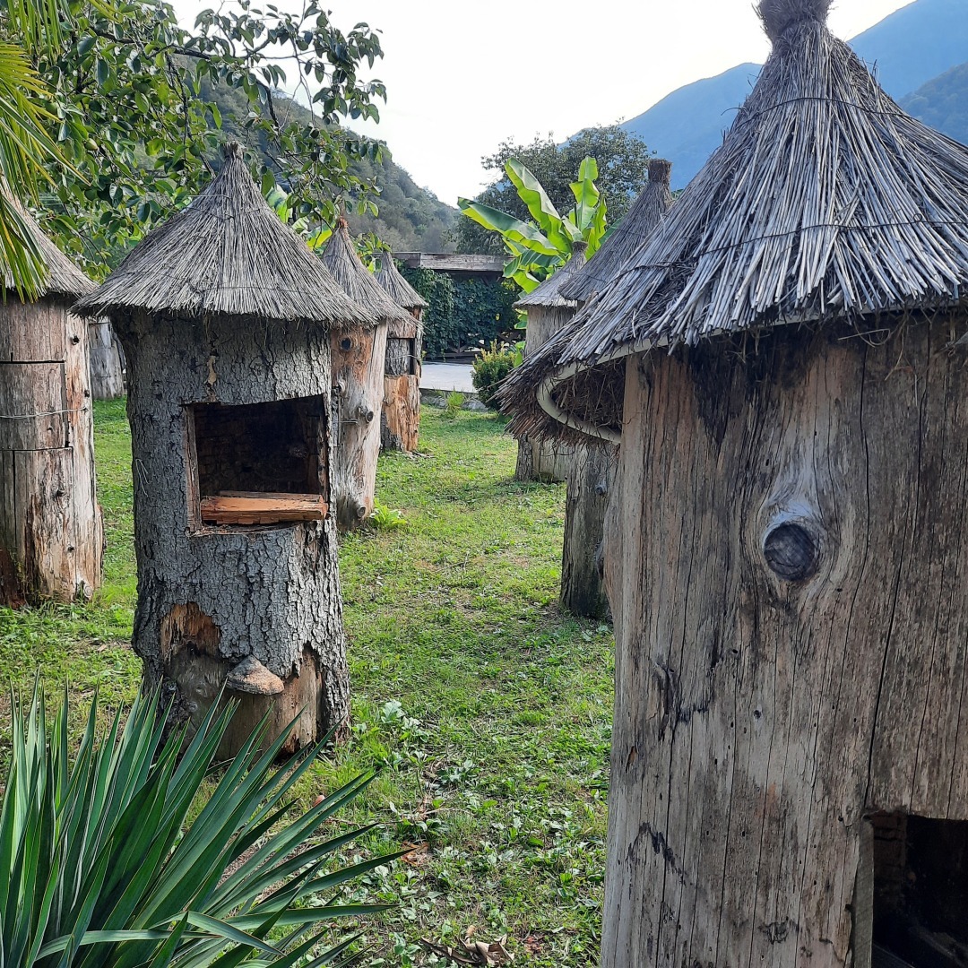 Мой опыт работы на различных площадках: Яндекс Дзен.