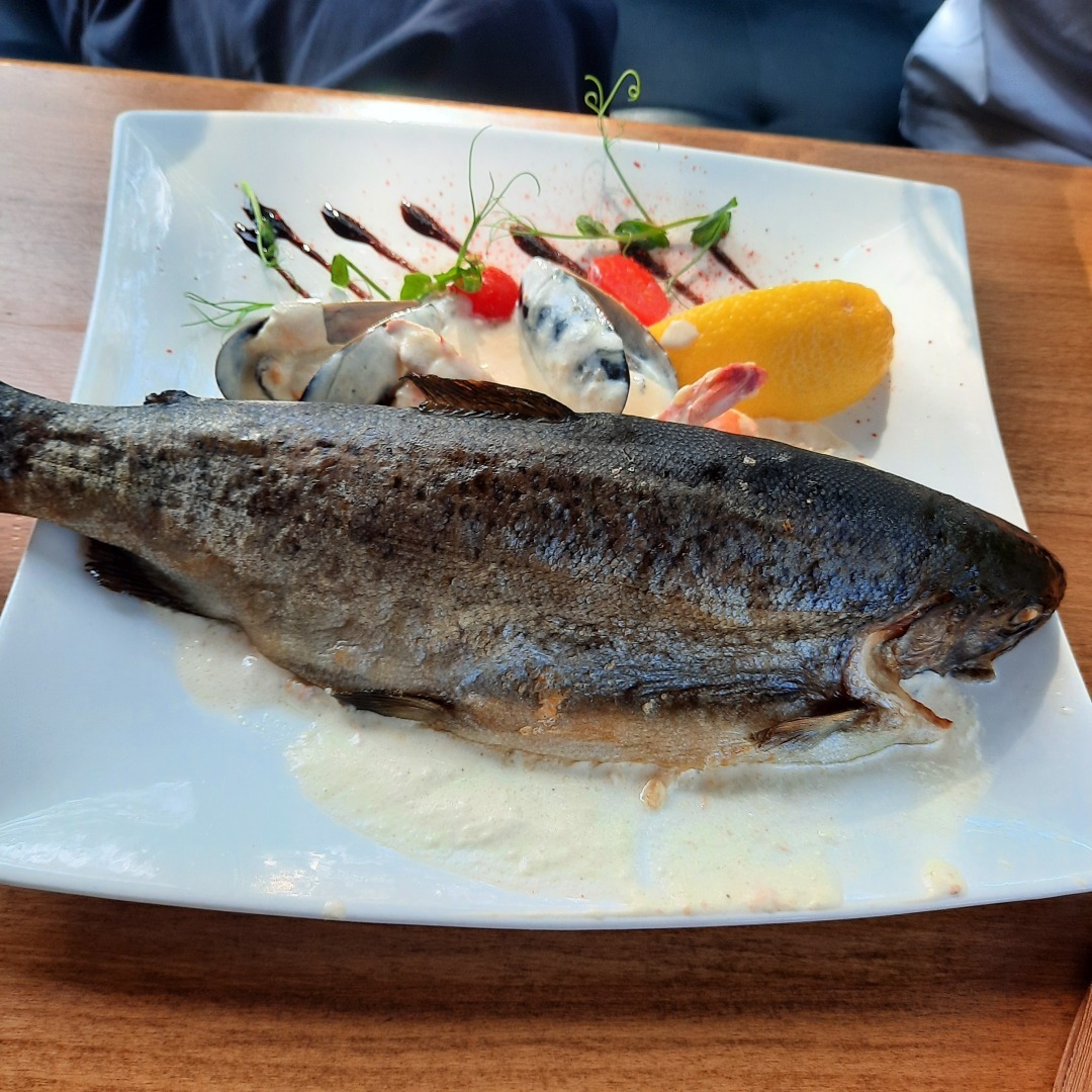 Мой опыт работы на различных площадках: Яндекс Дзен.