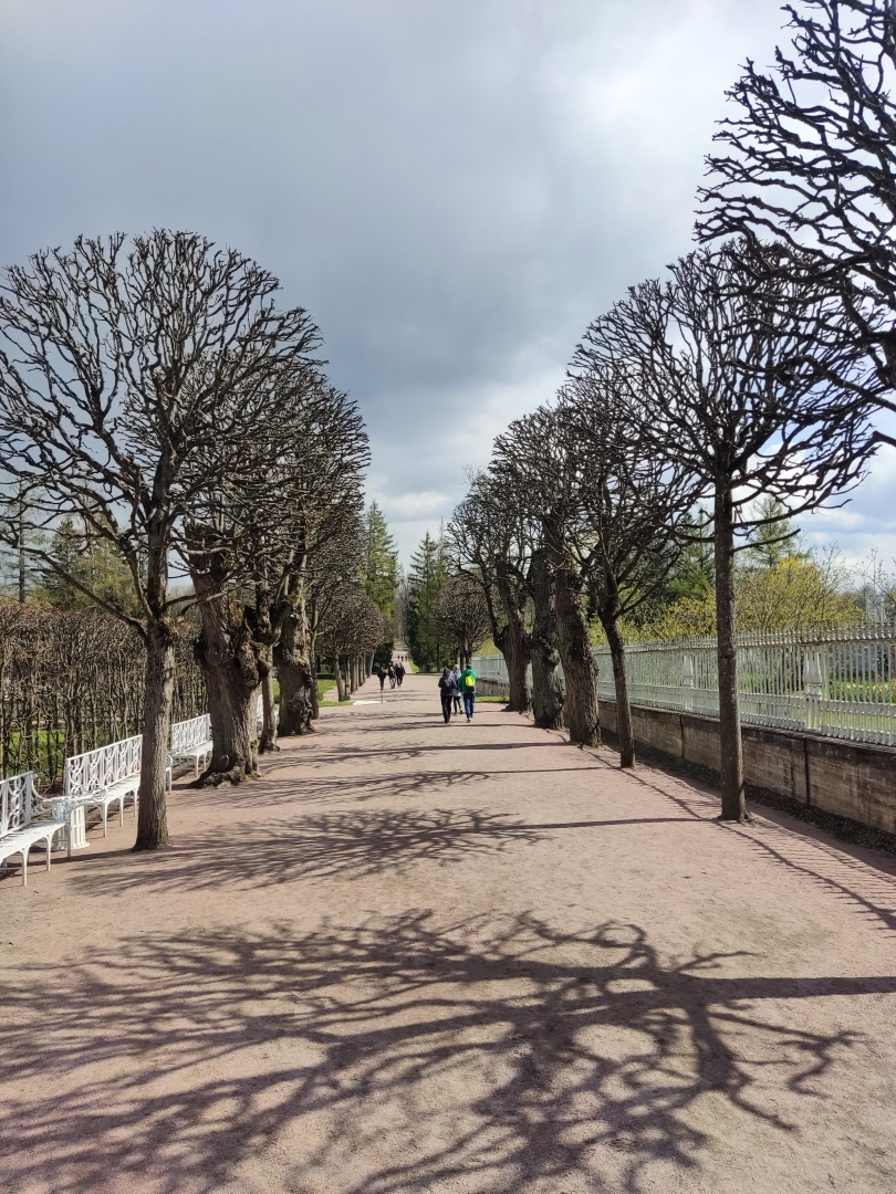 Екатерининский дворец и Царское село 2024. Цены на билеты и урезанная в три раза экскурсия.