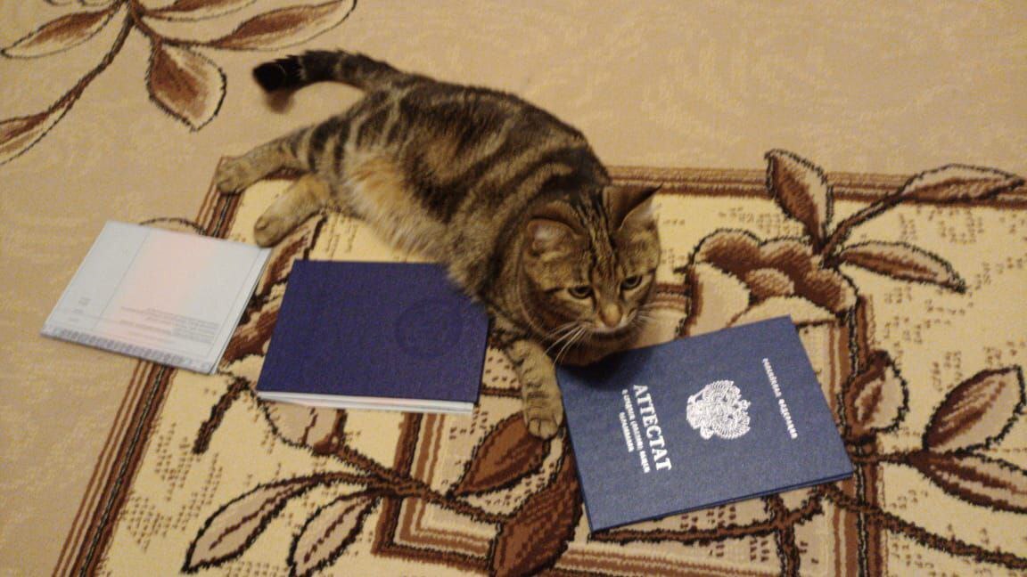 Депутаты Госдумы хотят заменить в школах ЕГЭ на традиционную итоговую аттестацию