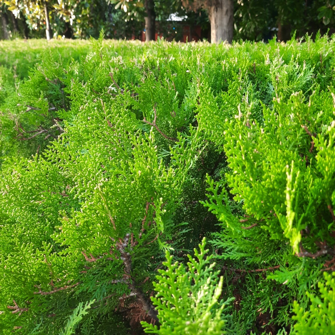 Мой опыт работы на различных площадках: Яндекс Дзен.