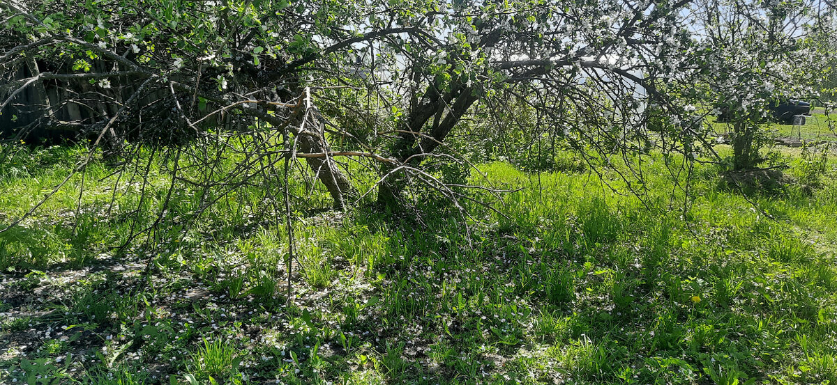 Штраф за продажу картошки можно получить запросто, если не знать закон