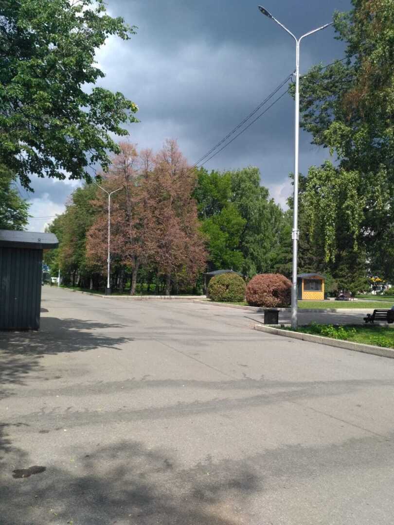 Вот такое хреновое лето!