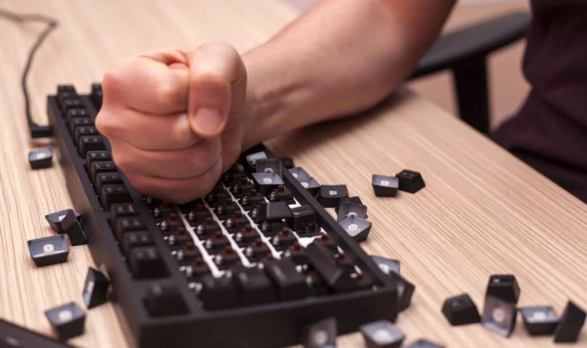 Моя битва с Банки.ру. Я победила?