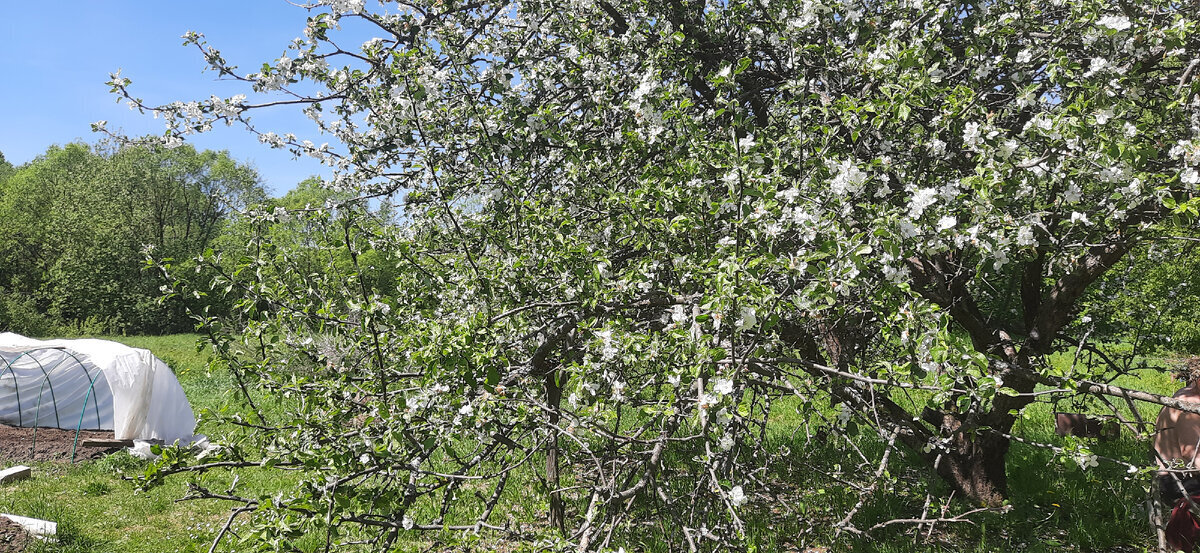 Штраф за продажу картошки можно получить запросто, если не знать закон