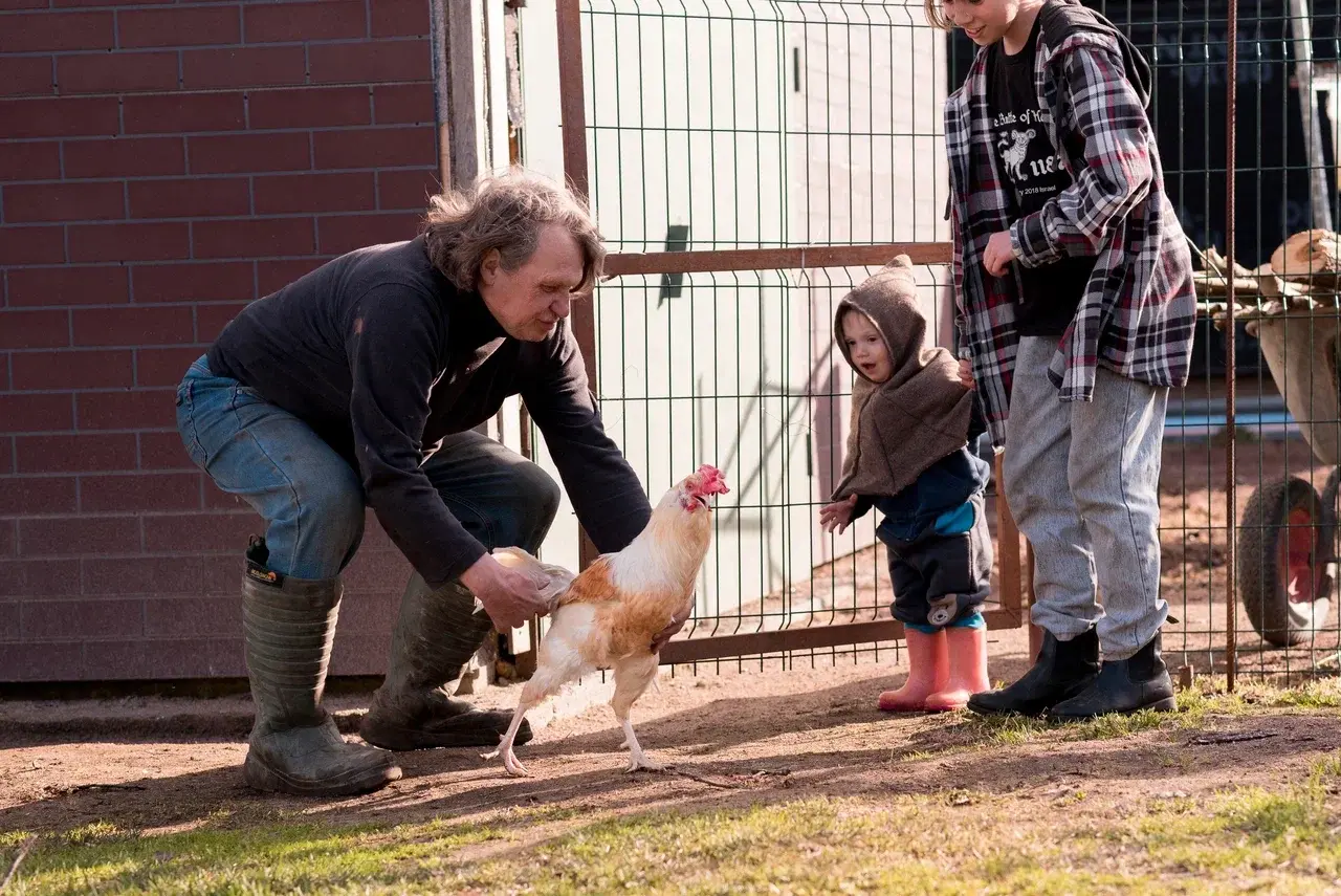 На "Ивановские Торжища"