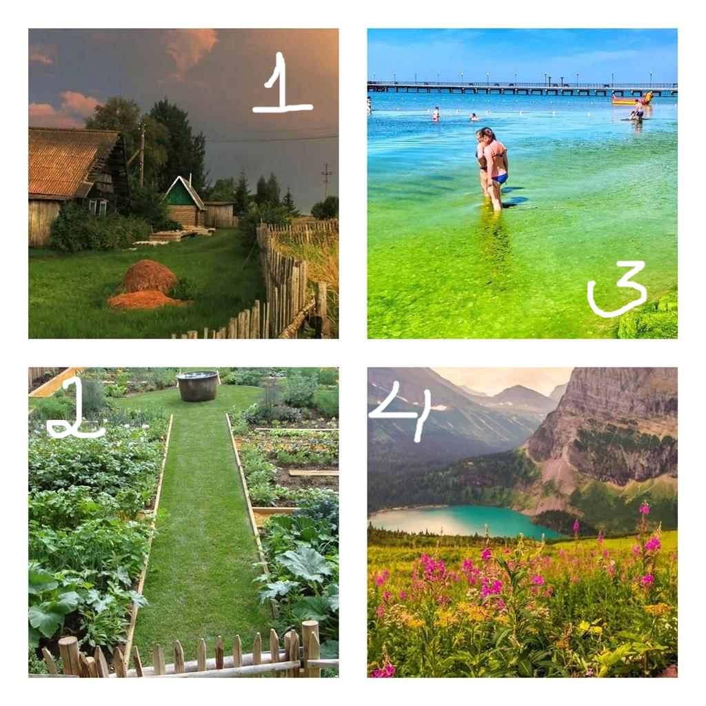 Какой из этих пейзажей у вас больше всего ассоциируется с летом?