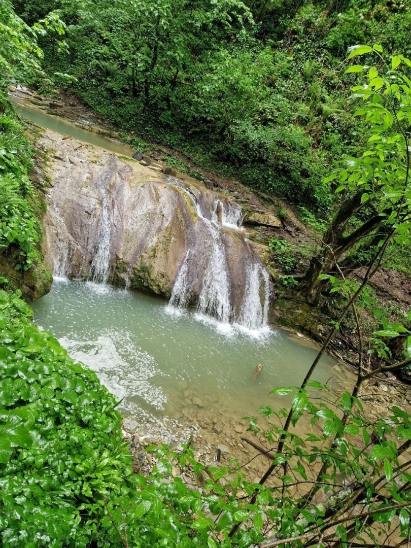 Как я съездила в Сочи🌴 День 1,2🌴