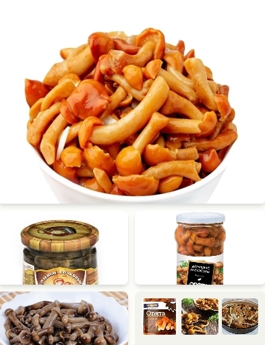 Опята соленые: секреты приготовления на зиму