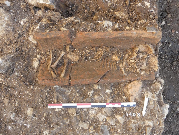 «Город мёртвых детей». В центре города Осера был обнаружен древний некрополь