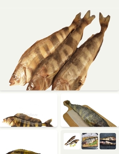 Терпуг: король русской кухни, или как готовить это вкусное блюдо