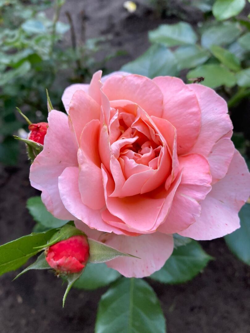 Пятничная игра, открытие купального сезона и мидии в сливочном соусе.