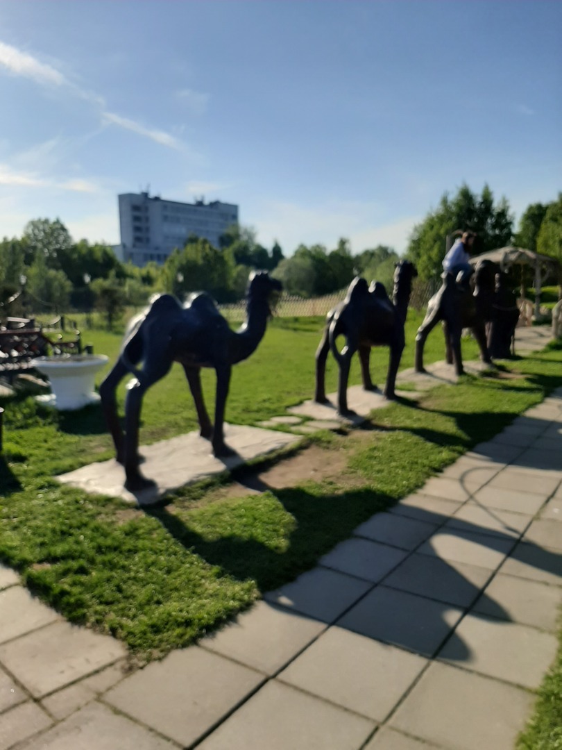 Прогулки выходного дня: красота природы, зелень и мои впечатления