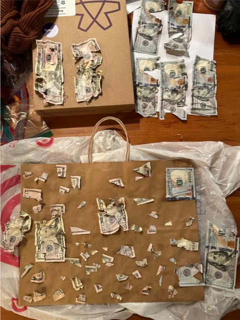 Это Сесил. Он никогда в жизни не сделал ничего плохого, пока не съел 4000 долларов