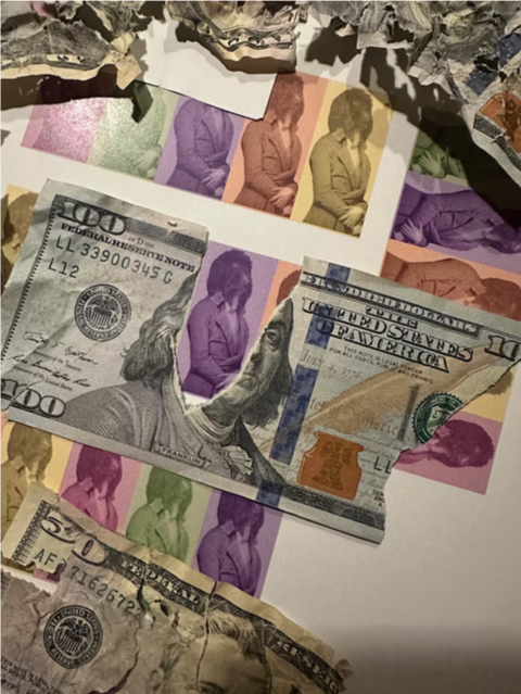 Это Сесил. Он никогда в жизни не сделал ничего плохого, пока не съел 4000 долларов