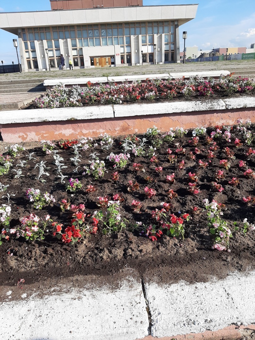 Прогулки выходного дня: красота природы, зелень и мои впечатления