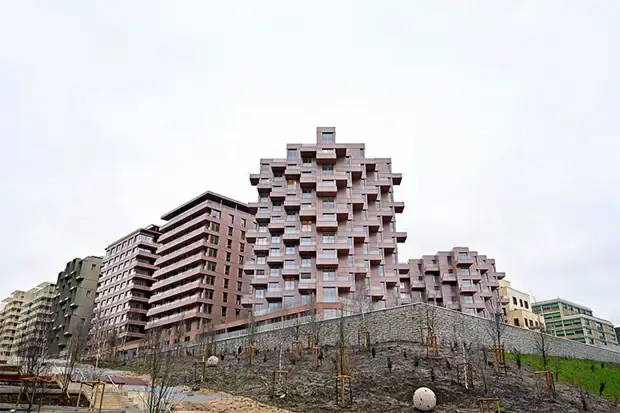 Олимпийская деревня для клопов