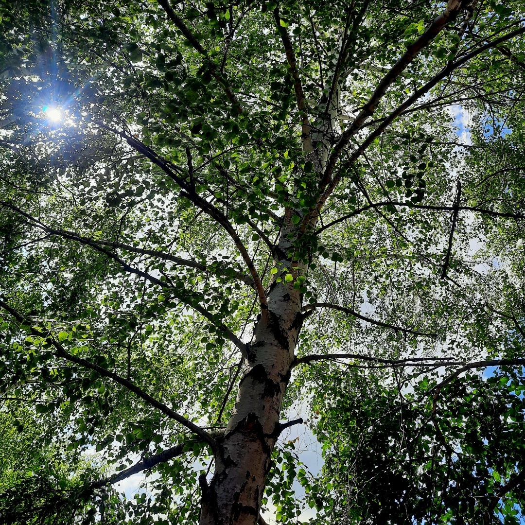 Пятничная игра, открытие купального сезона и мидии в сливочном соусе.