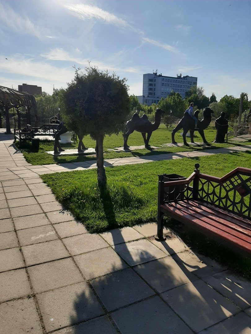 Прогулки выходного дня: красота природы, зелень и мои впечатления