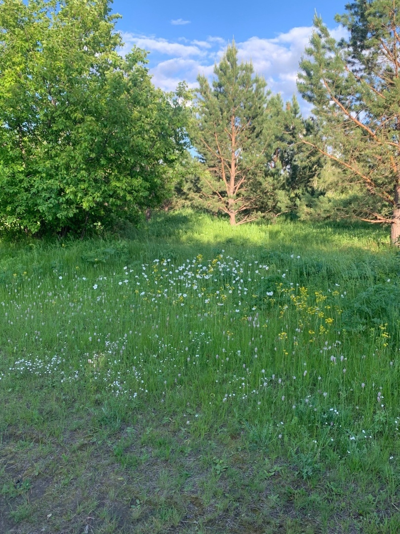 Празднование дня города на свой вкус