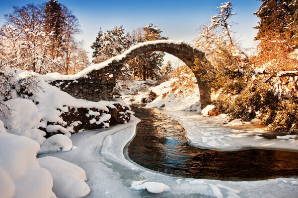 Застывшие время и природа в самых удивительных мостах мира