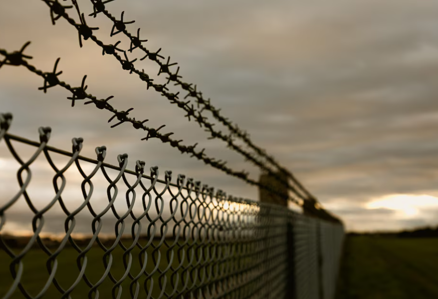 Украинские уклонисты пытались сбежать через венгерскую границу на грузовике