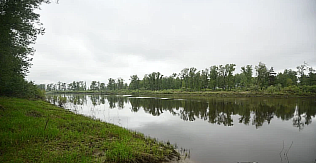Развязка событий в Свердловской области по поискам пропавших в лесу детей. Продолжение