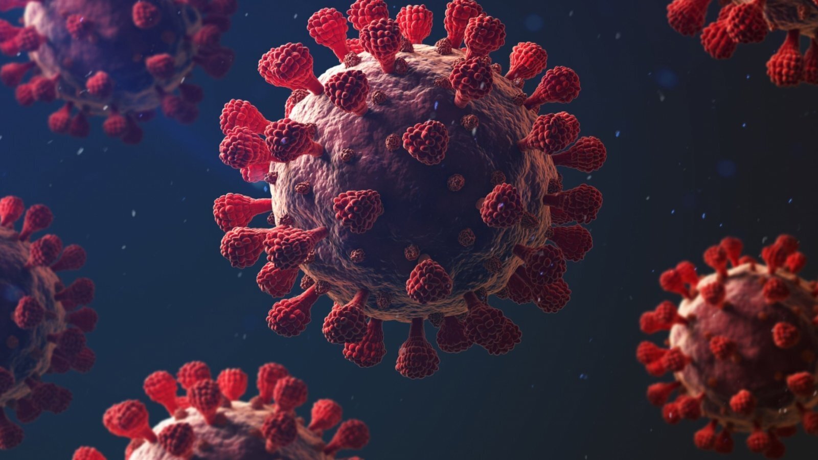 Что опять? Рост заболеваемости коронавирусной инфекции. Насколько опасен новый штамм, выявленный недавно в России?