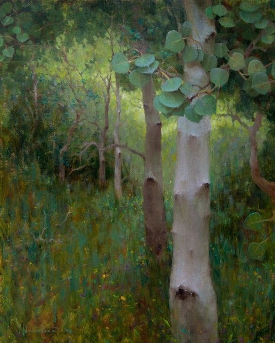 Деревья выпуклы, как люди