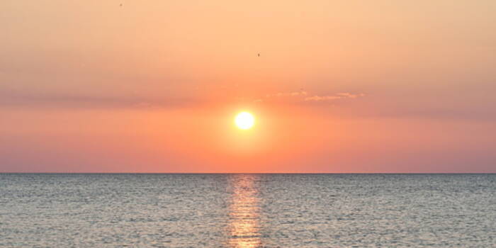 Сумерки могут стать вашими следующими союзниками