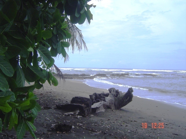 Коста-Рика, Тихий океан и Карибское море ничуть не хуже, чем Турция, Таиланд, Средиземное море и море Бали