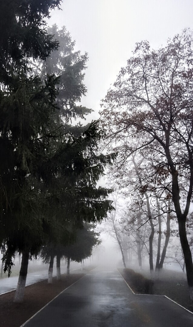 Первый раз проспала на работу… Как пойдет день, если все началось не по плану…