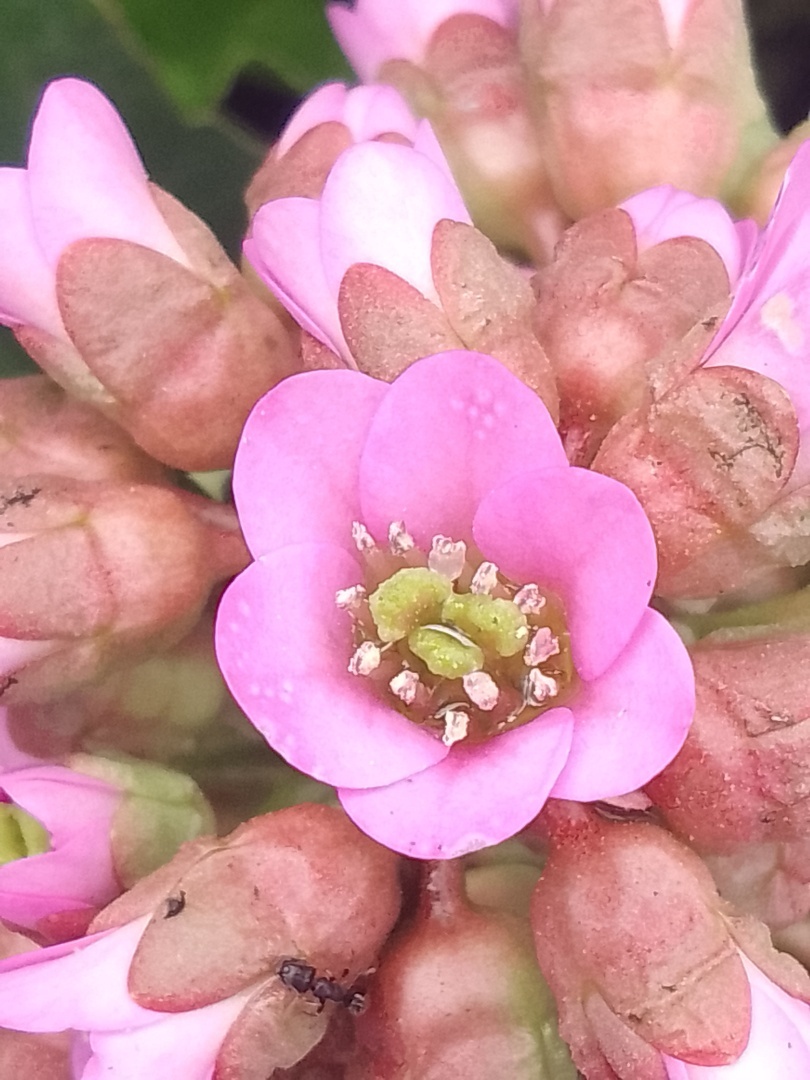 Первый раз проспала на работу… Как пойдет день, если все началось не по плану…