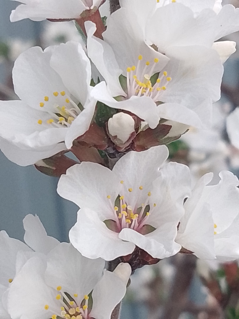 Первый раз проспала на работу… Как пойдет день, если все началось не по плану…