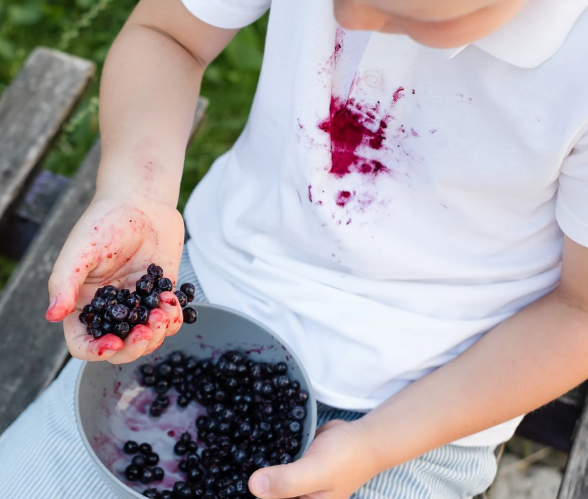 Как удалить пятна с ягод? 5 надежных способов.