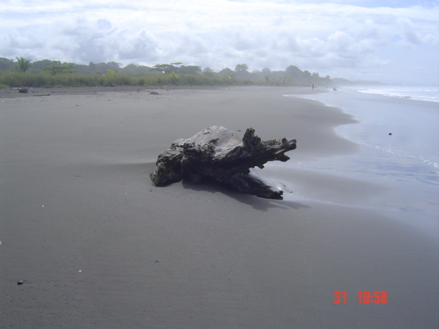 Коста-Рика, Тихий океан и Карибское море ничуть не хуже, чем Турция, Таиланд, Средиземное море и море Бали