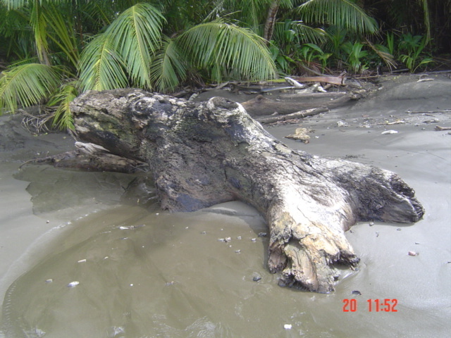 Коста-Рика, Тихий океан и Карибское море ничуть не хуже, чем Турция, Таиланд, Средиземное море и море Бали