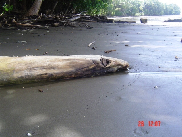 Коста-Рика, Тихий океан и Карибское море ничуть не хуже, чем Турция, Таиланд, Средиземное море и море Бали