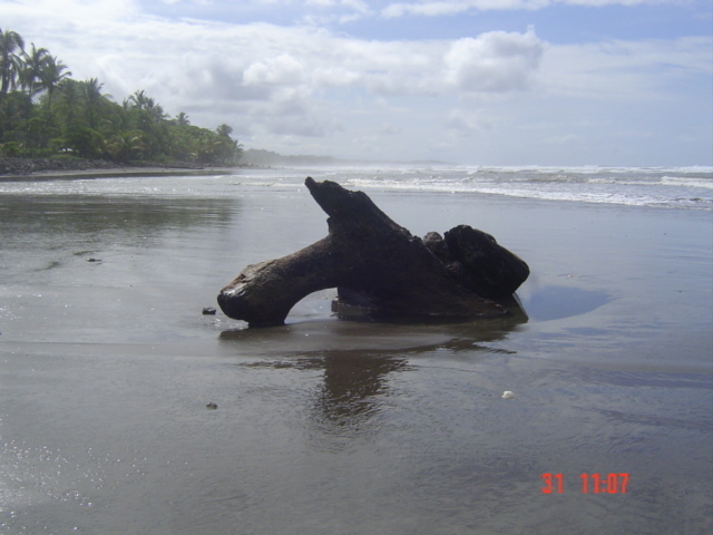 Коста-Рика, Тихий океан и Карибское море ничуть не хуже, чем Турция, Таиланд, Средиземное море и море Бали