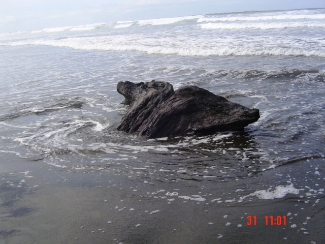 Коста-Рика, Тихий океан и Карибское море ничуть не хуже, чем Турция, Таиланд, Средиземное море и море Бали