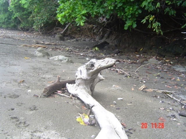 Коста-Рика, Тихий океан и Карибское море ничуть не хуже, чем Турция, Таиланд, Средиземное море и море Бали