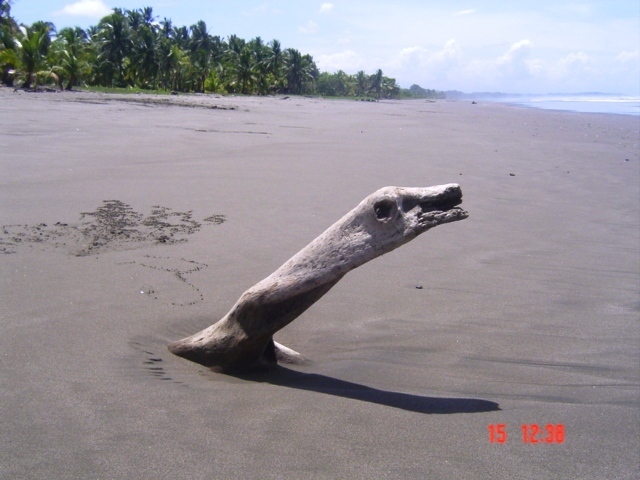 Коста-Рика, Тихий океан и Карибское море ничуть не хуже, чем Турция, Таиланд, Средиземное море и море Бали