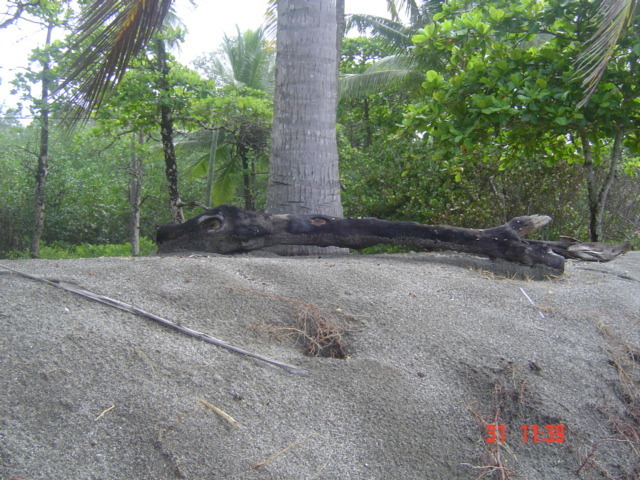 Коста-Рика, Тихий океан и Карибское море ничуть не хуже, чем Турция, Таиланд, Средиземное море и море Бали