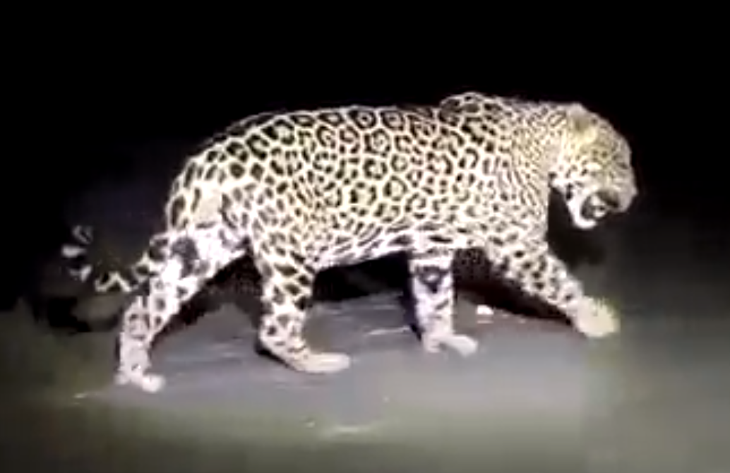 Коста-Рика, Тихий океан и Карибское море ничуть не хуже, чем Турция, Таиланд, Средиземное море и море Бали