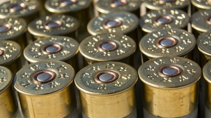 Пьяный житель Красносельского района стал фигурантом уголовного дела, после того, как сдал хранившиеся дома боеприпасы.