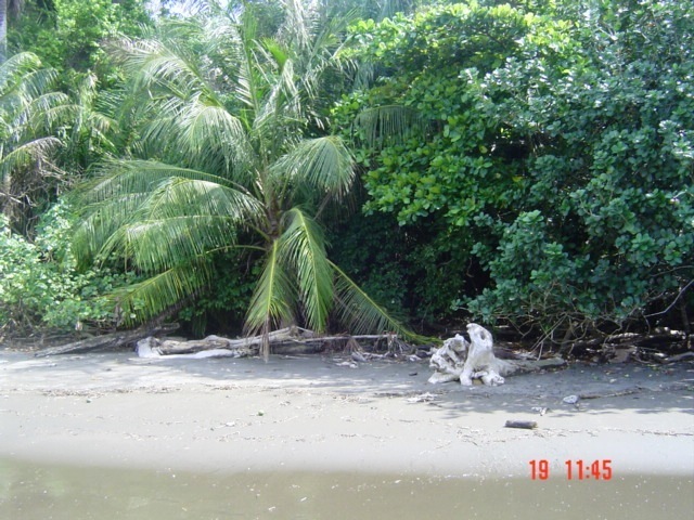 Коста-Рика, Тихий океан и Карибское море ничуть не хуже, чем Турция, Таиланд, Средиземное море и море Бали