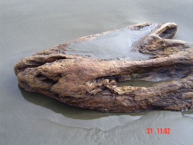 Коста-Рика, Тихий океан и Карибское море ничуть не хуже, чем Турция, Таиланд, Средиземное море и море Бали