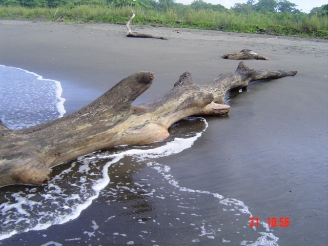 Коста-Рика, Тихий океан и Карибское море ничуть не хуже, чем Турция, Таиланд, Средиземное море и море Бали